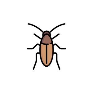 Cockroach