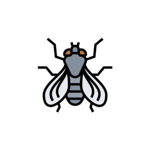 Fly