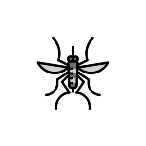 Mosquito
